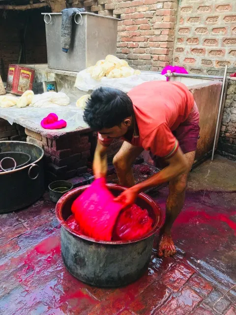 A dyer working a skein of yarn in a vat of magenta dye